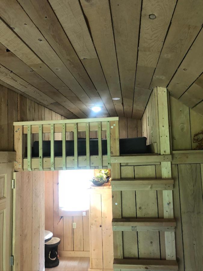 The Hideaway Tiny Cabin East Durham Exterior foto